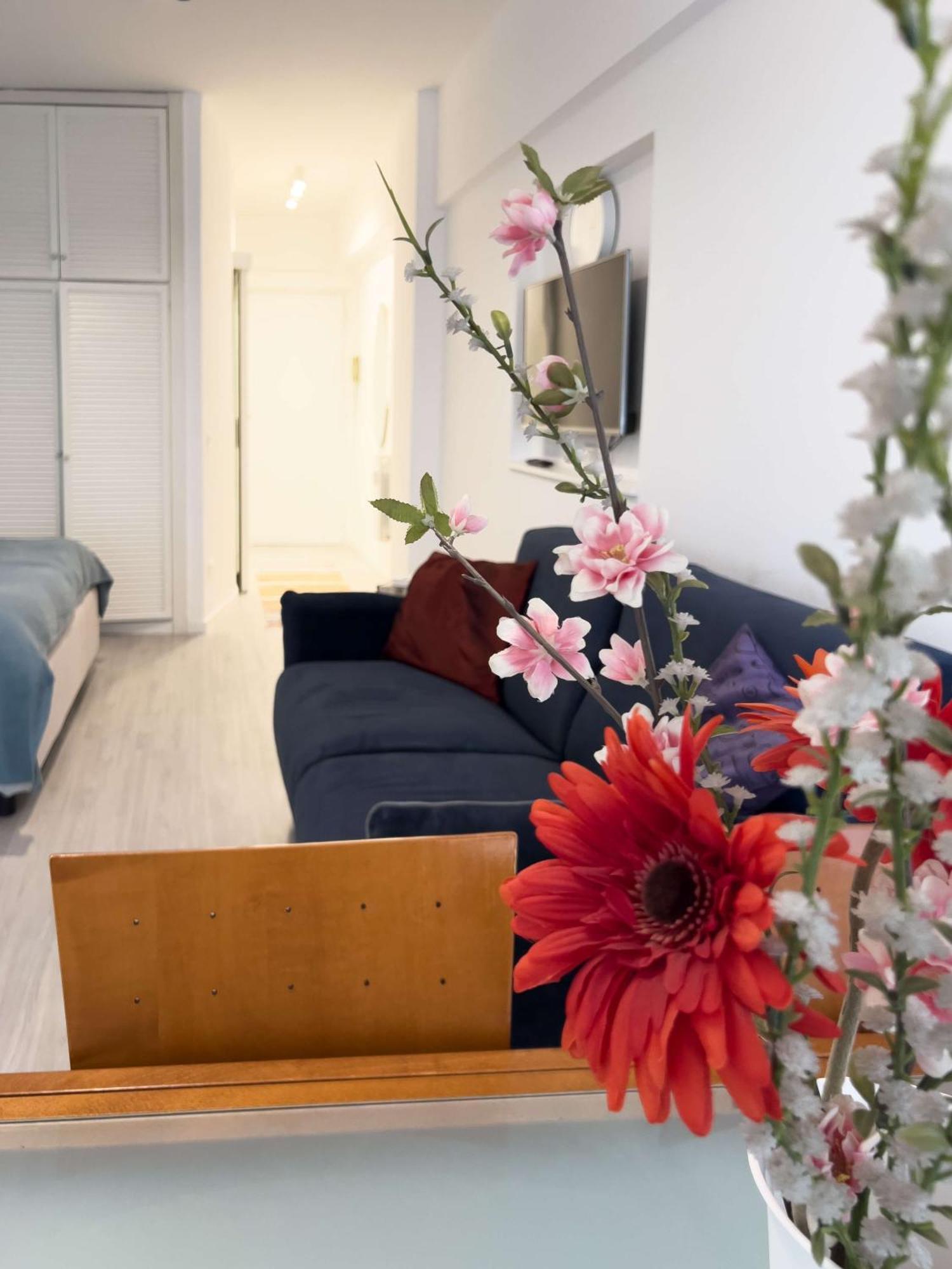 Domus Lucis Apartment